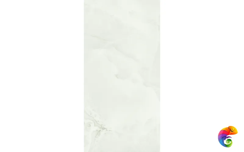 ABS WH6 12 RM (ABSWH612RM) 120x60 Неглазурованный керамогранит