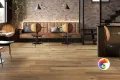 Коллекция Timeless Rondine (RHS)