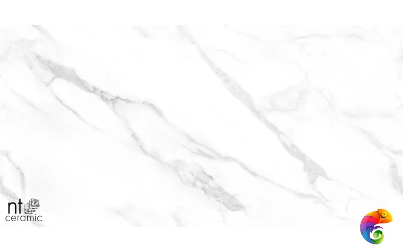 Керамогранит NTT99506P Statuario Endless 60x120