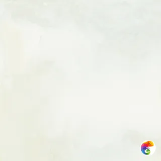 E-5016/MR/600x600x9 (1,8 кв.м.) ректификат