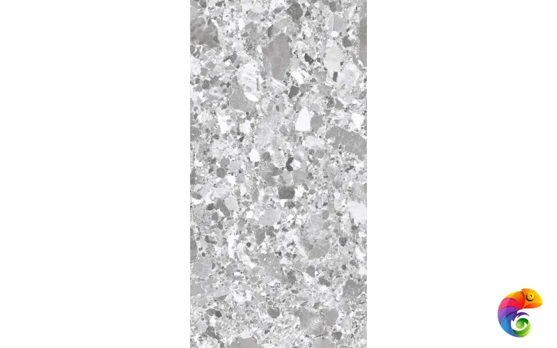 TERRAGONA SILVER SOLIDO 1200x600 SL1004-A