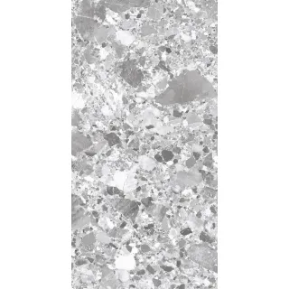 TERRAGONA SILVER SOLIDO 1200x600 SL1004-A