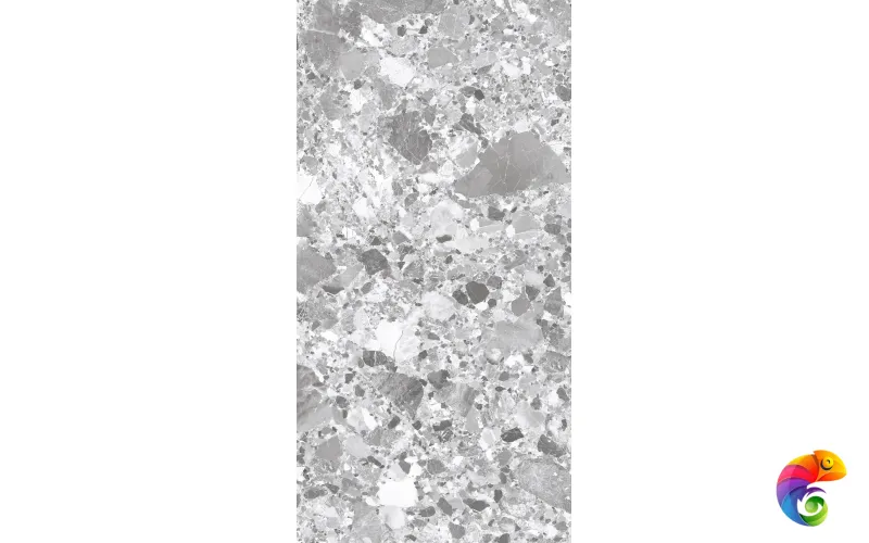 TERRAGONA SILVER SOLIDO 1200x600 SL1004-A