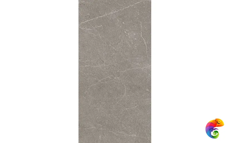 EQUISTONE GRAPHITE 1200x600 RG6002-A
