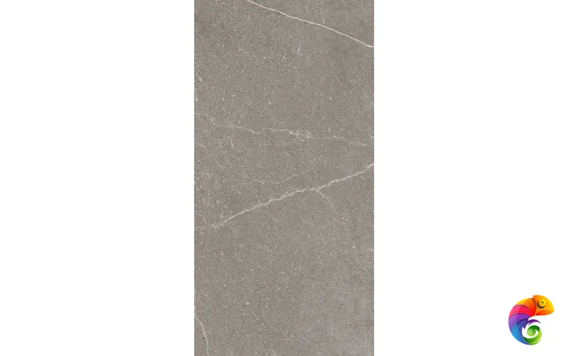 EQUISTONE GRAPHITE 1200x600 RG6002-A
