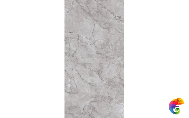 ARCTIC GREY LAPPATO 1200x600 CL4005-A