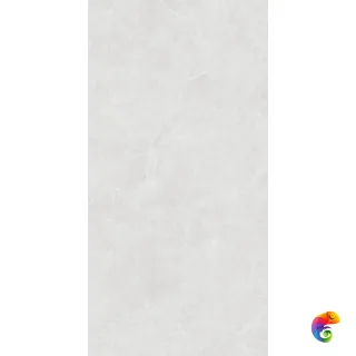 OVIEDO SILVER SOLIDO 1200x600 SL1003-A