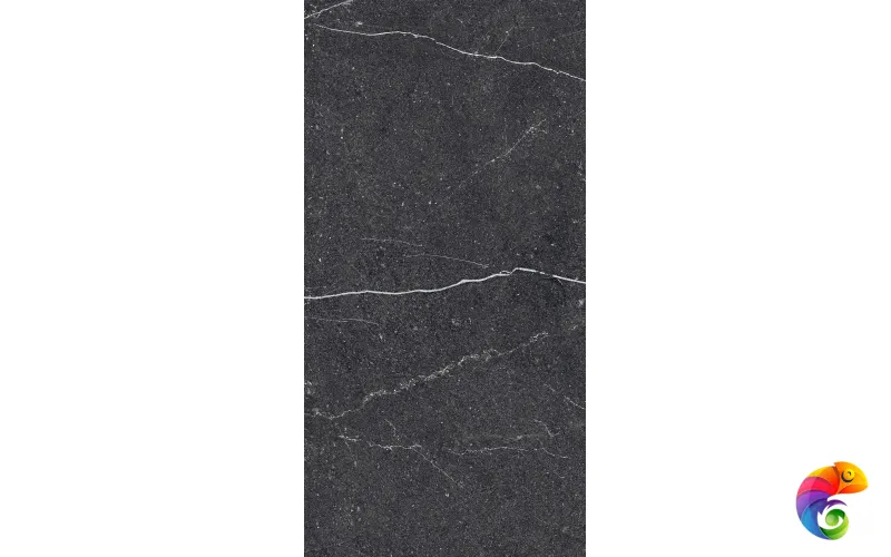 EQUISTONE CHARCOL 1200x600 RG6003-A