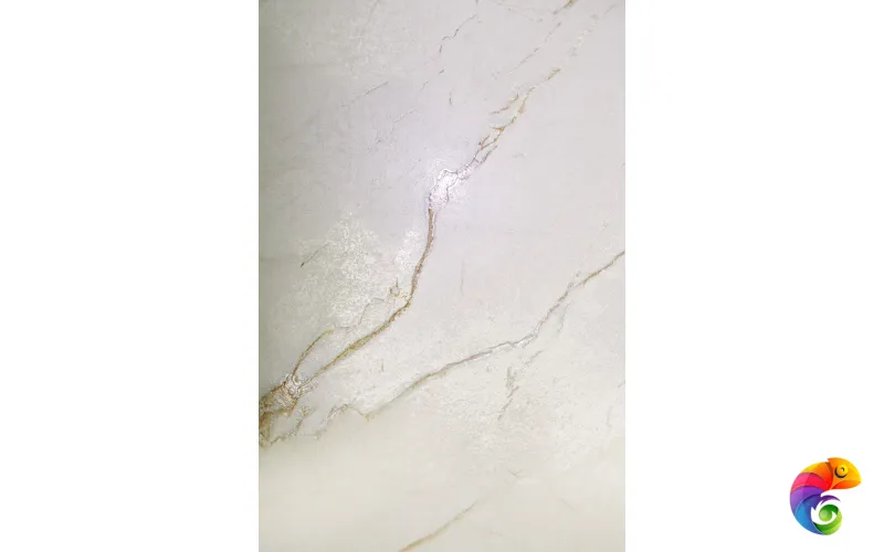 CEASAR LAPPATO 1200x600 CL4001-A