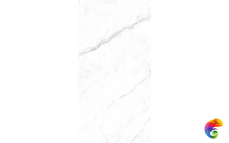CORALINA WHITE 1200x600 CP4003-A