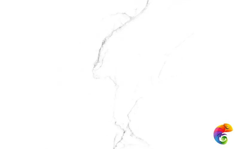 Керамогранит STATUARIO FINE 600x600 RT6015-A