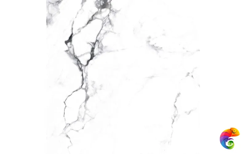 BORGHINI SILVER 600x600 CR4006-A