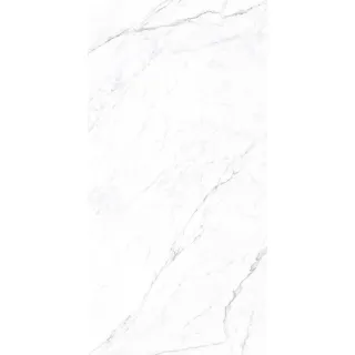 CORALINA WHITE 1200x600 CP4003-A