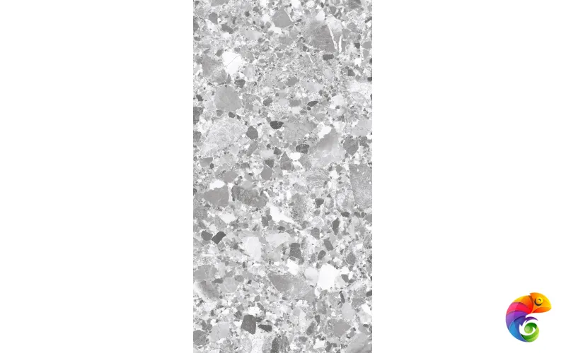 TERRAGONA SILVER SOLIDO 1200x600 SL1004-A