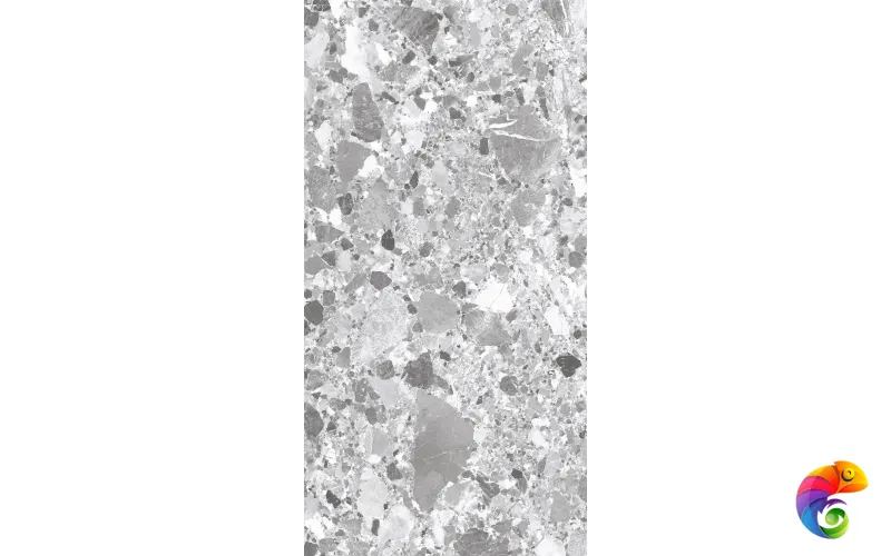 TERRAGONA SILVER SOLIDO 1200x600 SL1004-A