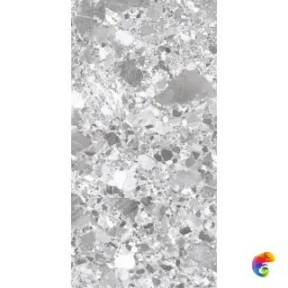 TERRAGONA SILVER SOLIDO 1200x600 SL1004-A