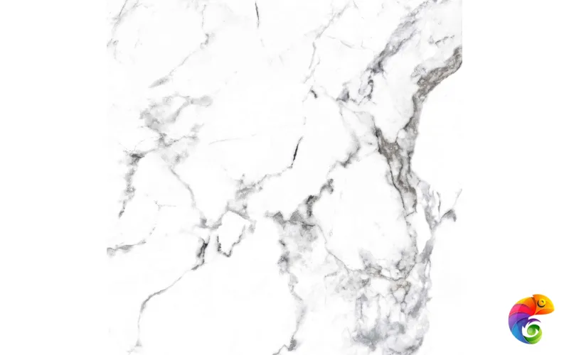 BORGHINI SILVER 600x600 CR4006-A