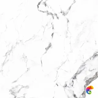 BORGHINI SILVER 600x600 CR4006-A