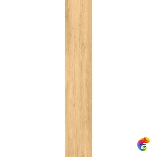 Modena Honey MATT 120x20