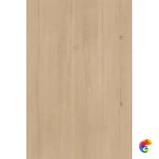 Teak Almond MATT 180x120