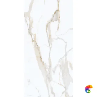 Calacatta Gold Starlight POLI 120x60
