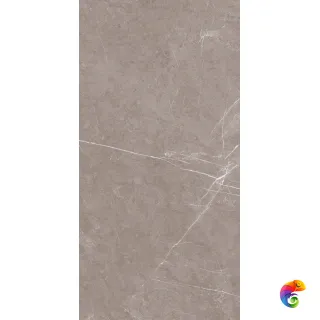 Monte Taupe CARV 120x60