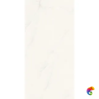 Elvine Grey 9 mm POLI 120x60