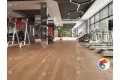 SPC ламинат Секвойя Темная ЕСО 6-12 SPC