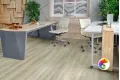 SPC ламинат ГРАНД СЕКВОЙЯ ШВАРЦЕВАЛЬД ECO 11-18 MC