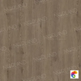 Flosi 1006-3