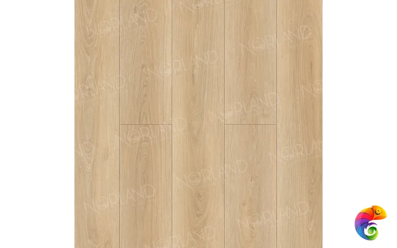 ABA ламинат Eli 1008-6 ABA