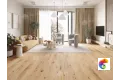 SPC ламинат Barranquilla 62537