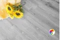 LVT плитка ДУБ ПЕПЕЛЬНЫЙ ECO 5-16
