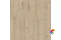 Abbi 1001-1