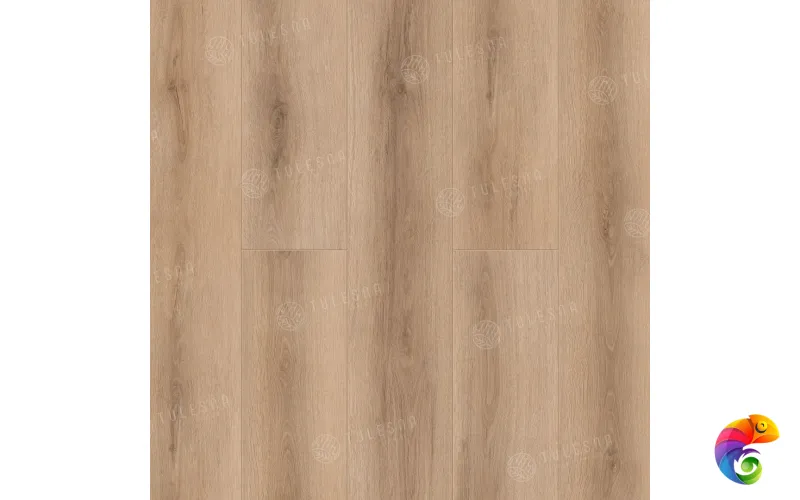 Bellone 1002-17