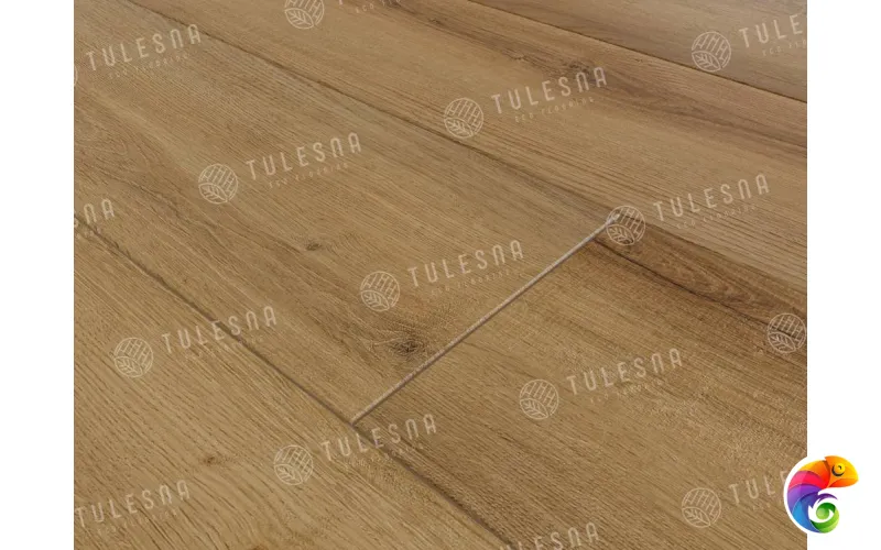SINGOLO 1004-10