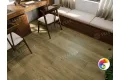 BELLO 1004-11