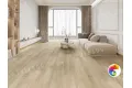 LEGNO 1004-8
