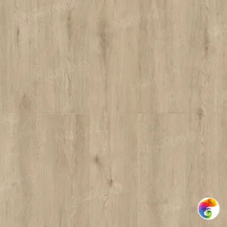 Abbi 1001-1