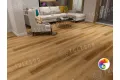 SINGOLO 1004-10