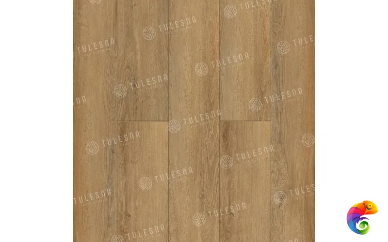 SINGOLO 1004-10
