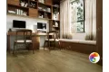 BELLO 1004-11