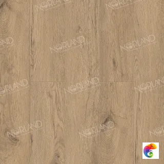 Alida 1022-6