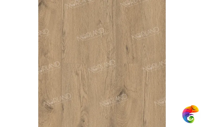 Alida 1022-6