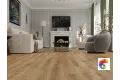 Gaula 1022-21