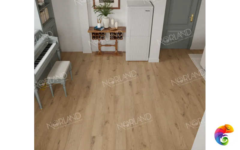 Sandra 1022-4