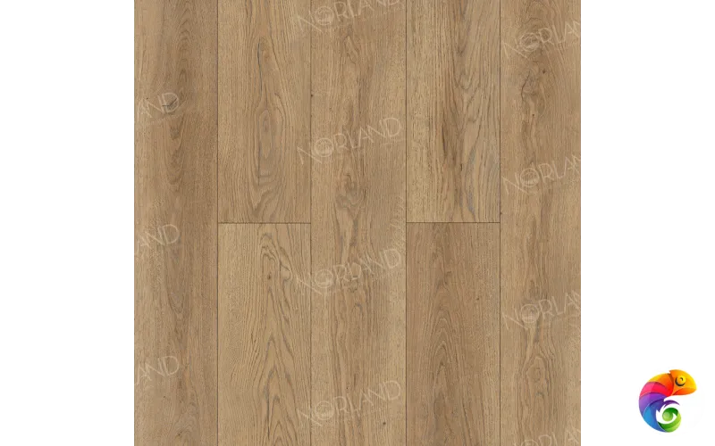 Gaula 1022-21