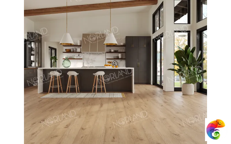 Alida 1022-6