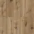 Gutulia 1022-12