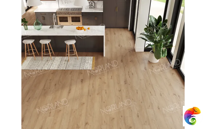 Alida 1022-6